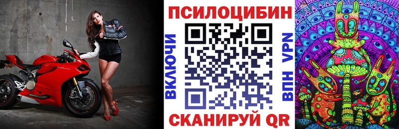 закладки Усолье Галлюциногенные грибы MAGIC MUSHROOMS